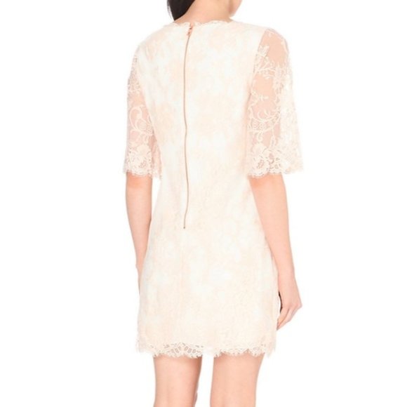 Ted Baker $335 Laavia Wide Sleeve Lace Dress Shell Sz 3 NWT! - Picture 2 of 6